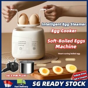 Intelligent egg boiler automatic power off household small hard boiled egg maker Modes Breakfast Cooker egg cooker